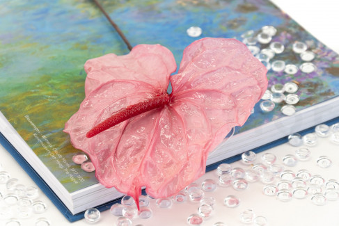 ANTHURIUM STABILISÉ 3€/pièce